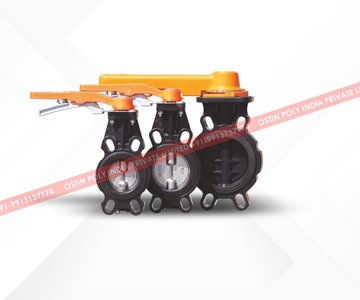 SS-304 BUTTERFLY VALVE